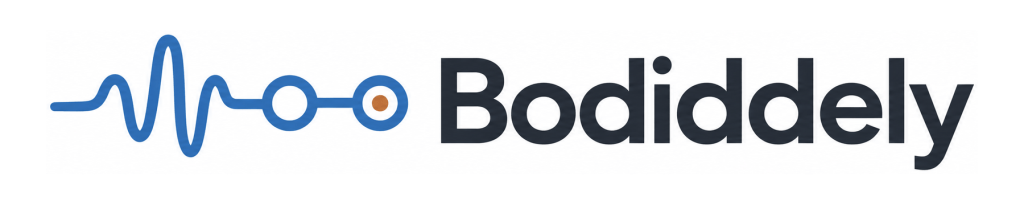 Logo of Bodidely featuring a blue waveform and the company name in bold black font.